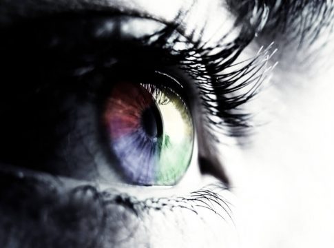 ljudsko oko evolucija