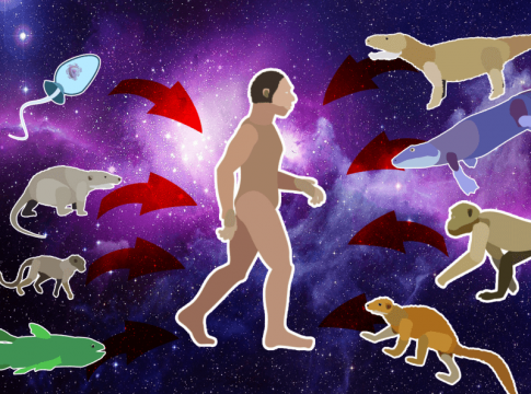 evolucionistička bajka evolucija