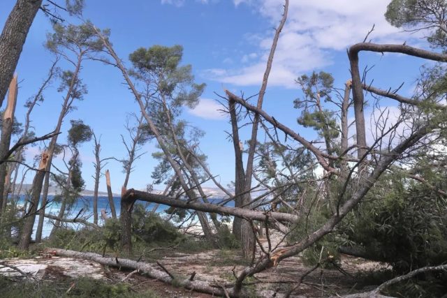 Dalmacija Dalmatinska zagora nevolje katastrofe